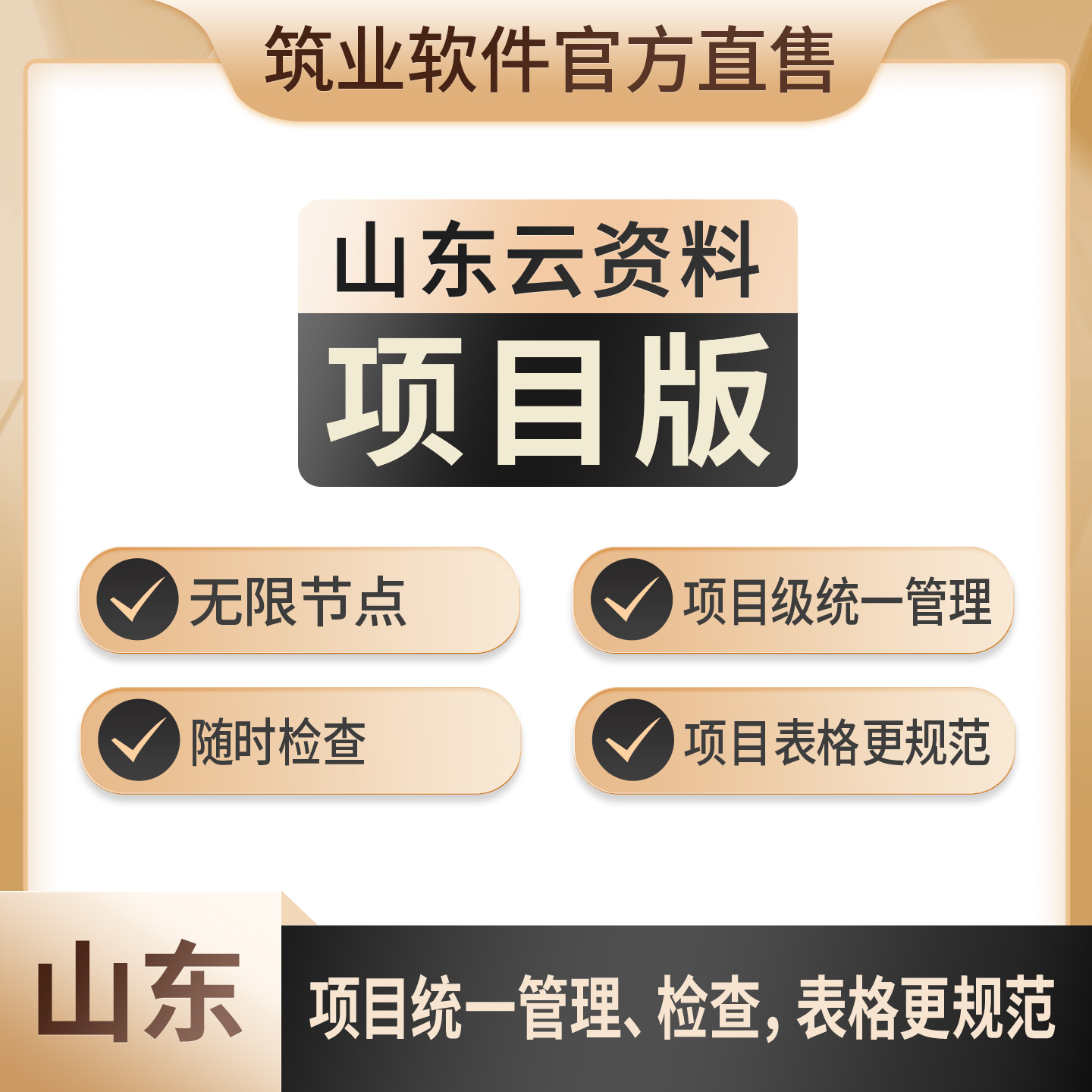 山东云资料项目版