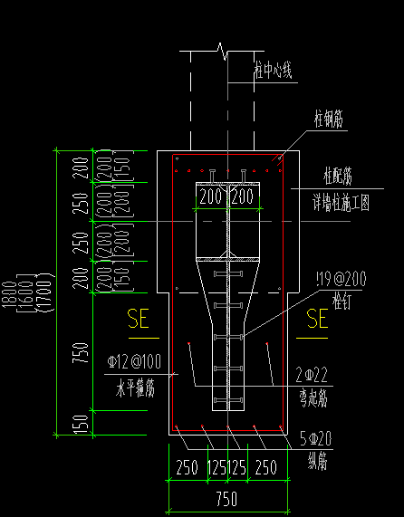 鋼筋混凝土型鋼柱截面.png